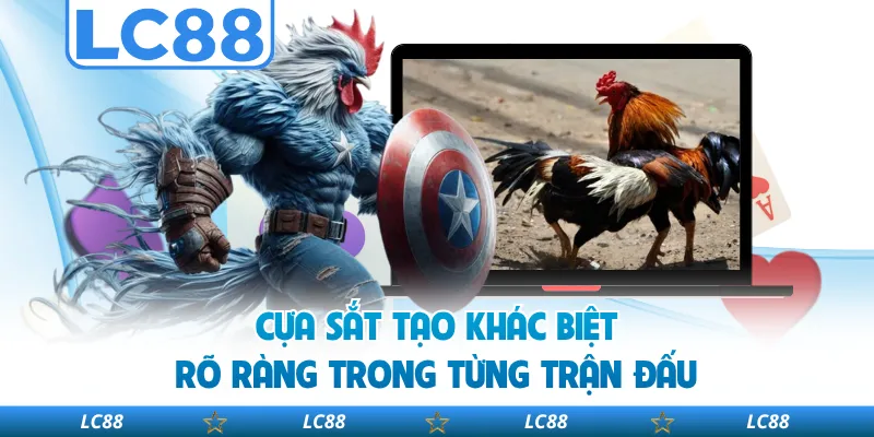 Cựa Sắt Tạo Khác Biệt Rõ Ràng Trong Từng Trận Đấu