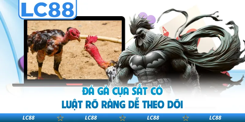 Đá Gà Cựa Sắt Có Luật Rõ Ràng Dễ Theo Dõi