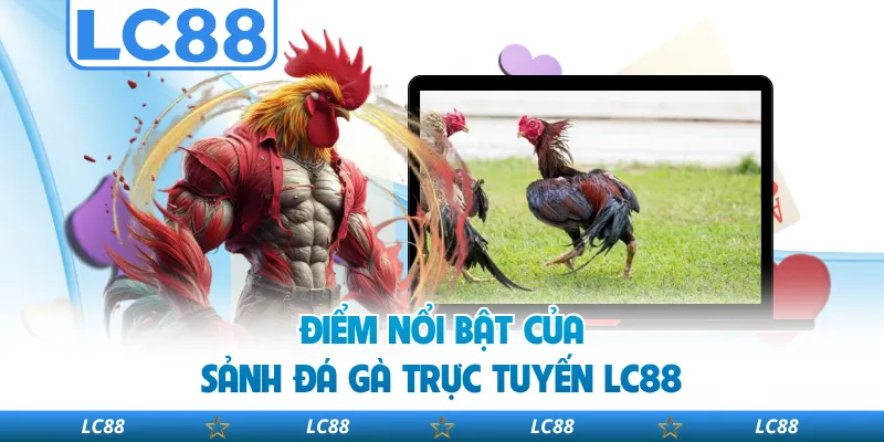 Điểm Nổi Bật Của Sảnh Đá Gà Trực Tuyến LC88