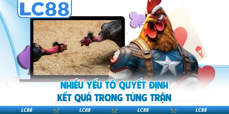 Nhiều Yếu Tố Quyết Định Kết Quả Trong Từng Trận