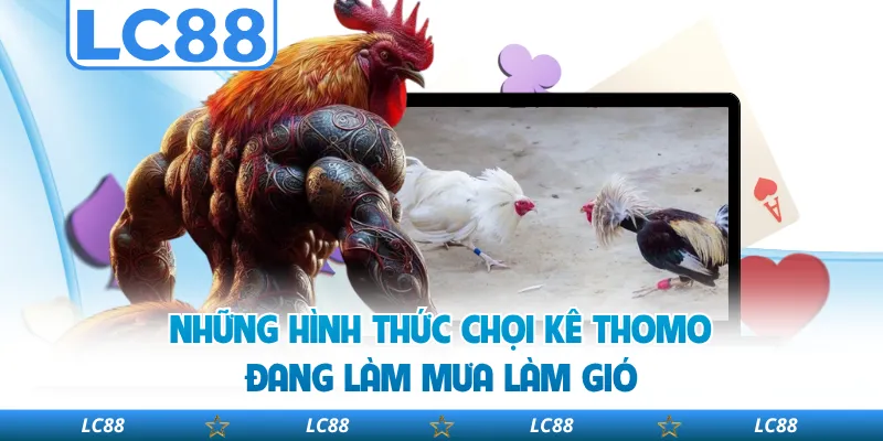 Những Hình Thức Chọi Kê Thomo Đang Làm Mưa Làm Gió